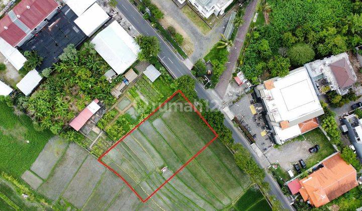 TOP URGENT FOR SALE LAND BESIDE THE ROAD LOCATION KEBO IWA DENPASAR BARAT 
 2