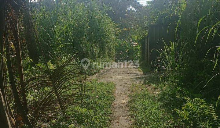 TOP URGENT DI JUAL TANAH LOKASI TARO TEGALLALANG UBUD GIANYAR  2