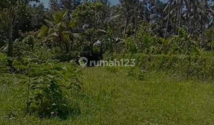 TOP URGENT DI JUAL TANAH LOKASI SANDING TAMPAK SIRING UBUD GIANYAR   1