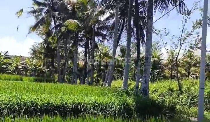 TOP URGENT DI JUAL TANAH LOKASI SANDING TAMPAK SIRING UBUD GIANYAR  
 2