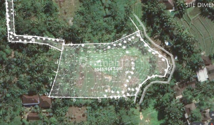 TOP URGENT FOR SALE LAND VIEW SAH & RIVER LOCATION LODTUNDUH UBUD GIANYAR  2