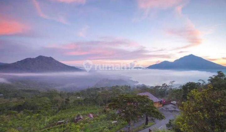 TOP URGENT LAND FOR SALE LAKE VIEW & MOUNT BATUR LOCATION PANELOKAN KINTAMANI BANGLI  1