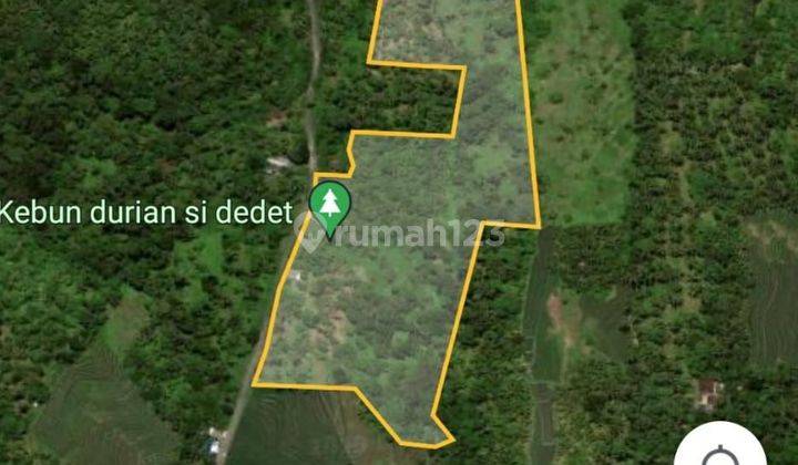 TOP URGENT FOR SALE GARDEN LAND LOCATION KEMENTUH GUNUNG SALAK SELEMADEG TABANAN  1