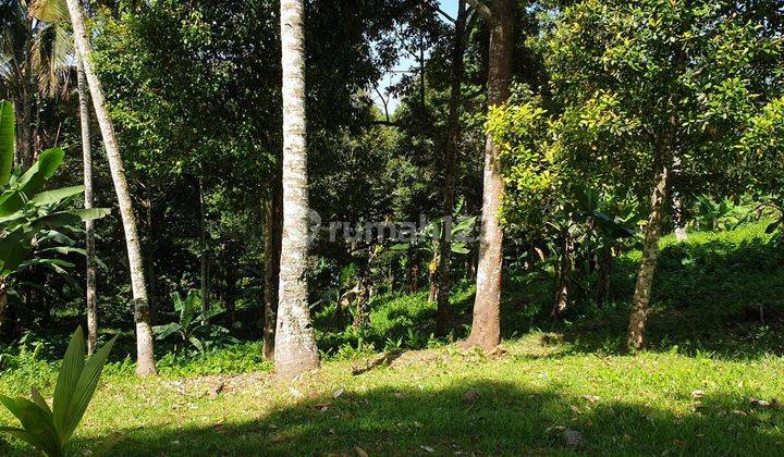 TOP URGENT FOR SALE GARDEN LAND LOCATION KEMENTUH GUNUNG SALAK SELEMADEG TABANAN  2