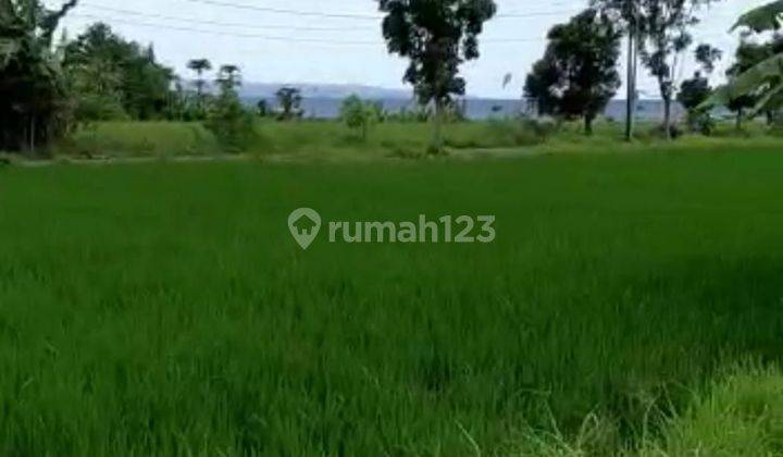 TOP URGENT FOR SALE LAND TULIKUP GIANYAR LOCATION  2