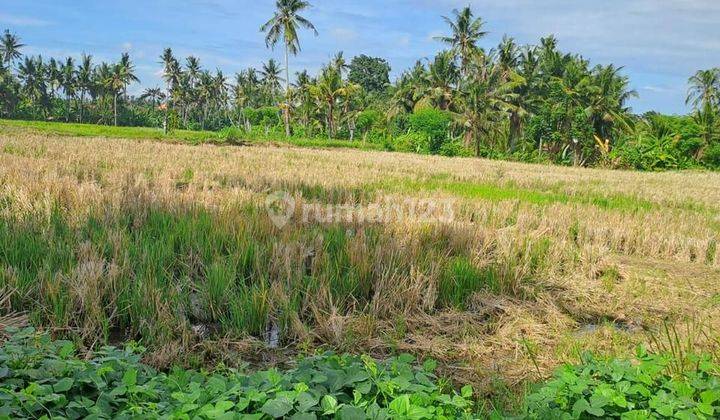 TOP URGENT LAND FOR SALE VIEW KEMENUH UBUD GIANYAR LOCATION  2