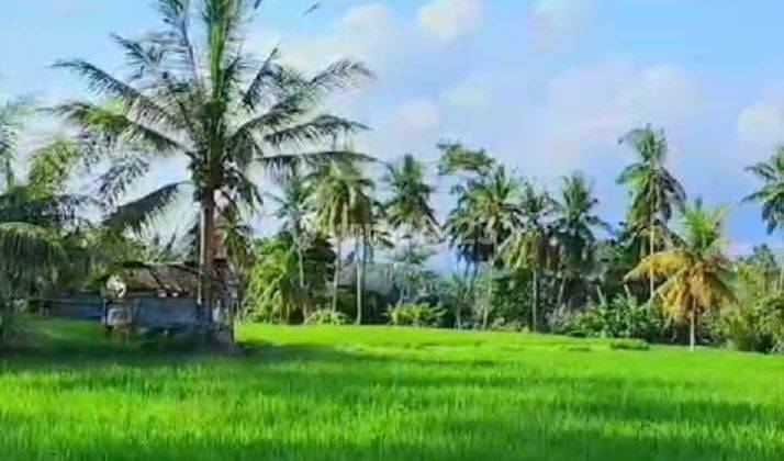 TOP URGENT LAND FOR SALE LOSS RIVER PETANU VIEW RICE POWDER LOCATION KEMENUH UBUD GIANYAR  2