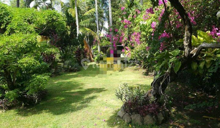 TOP URGENT VILLA FOR SALE CELUK AGUNG LOCATION LOVINA BULELENG 
 2