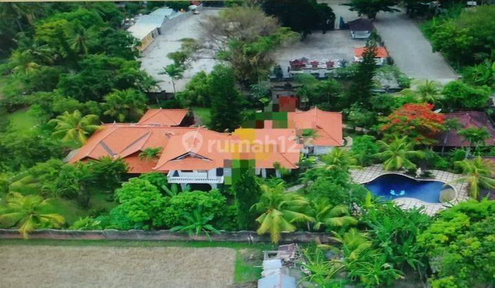 TOP URGENT VILLA FOR SALE CELUK AGUNG LOCATION LOVINA BULELENG 
 1