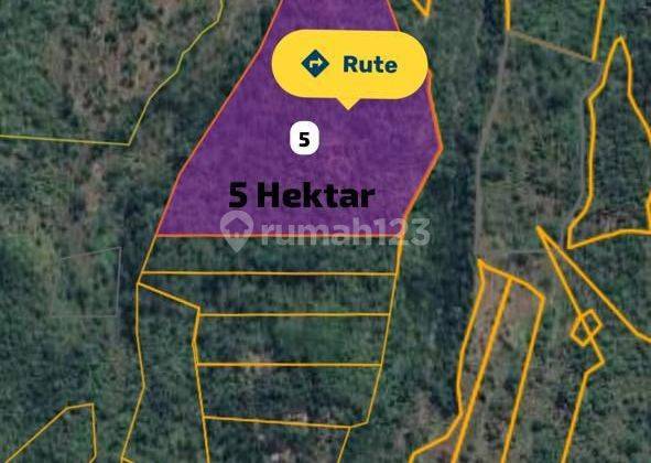 TOP URGENT LAND FOR SALE AT BAN KUBU KARANGASEM LOCATION  1