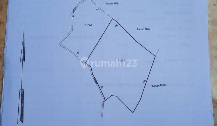 TOP URGENT FOR SALE LAND LOCATION PUHU PAYANGAN UBUD GIANYAR
 1