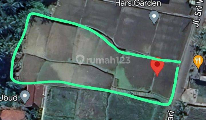 TOP URGENT FOR SALE LAND LOCATION SRI WEDARI UBUD GIANYAR  1