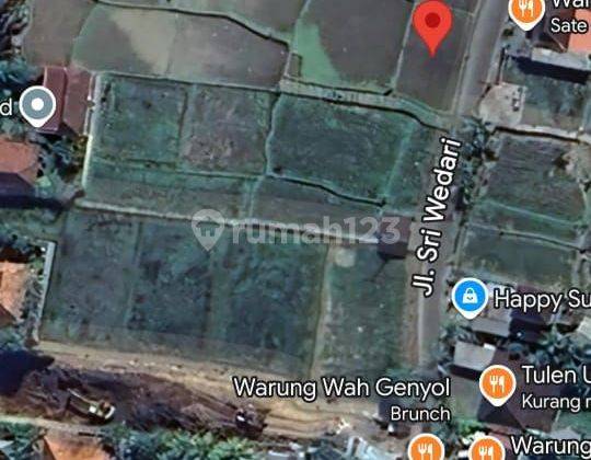 TOP URGENT FOR SALE LAND LOCATION SRI WEDARI UBUD GIANYAR  2