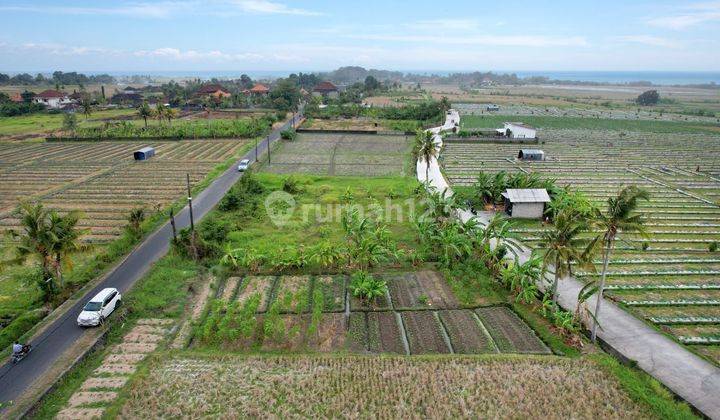 YOP YOI DI JUAL TANAH LOKASI KELATING KERAMBITAN TABANAN
 2