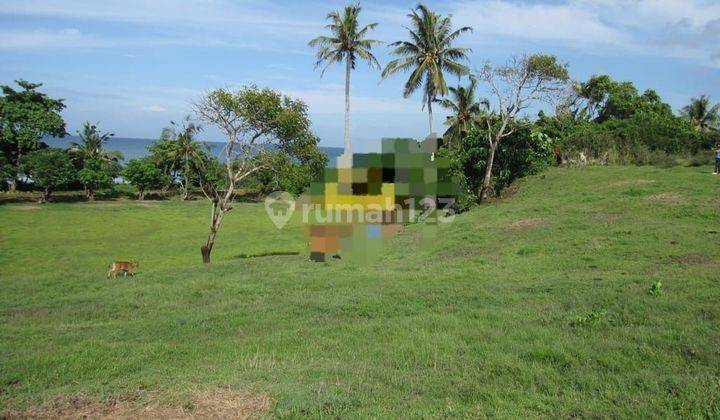 TOP DEAL FOR SALE LAND LOSS BEACH VIEW SEA LOCATION KLECUNG TEGAL MEMKEB SELEMADEG TABANAN 2