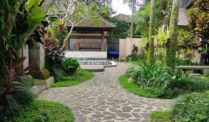 TOP DEAL DI JUAL TANAH BONUS BANGUNAN LOKASI KEDEWATAN UBUD GIANYAR  2