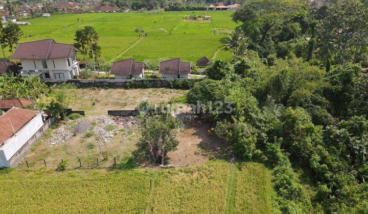 SURE DEAL ON LAND FOR SALE FULL LOCATION UBUD GIANYAR  2