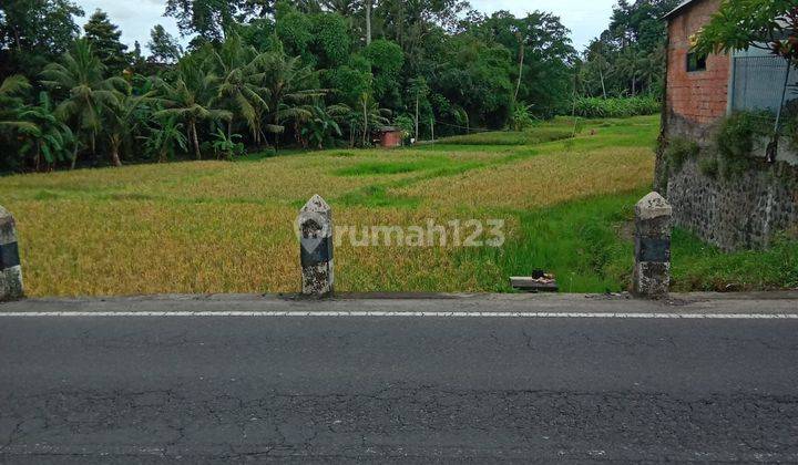 PASTI CLOSING DI JUAL TANAH VIEW SAWAH LOKASI KENGETAN UBUD GIANYAR
 2