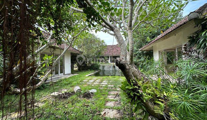 Pasti Closing Di Jual Tanah Bonus Bangunan Lokasi Batu Belig Seminyak Kuta Badung 1