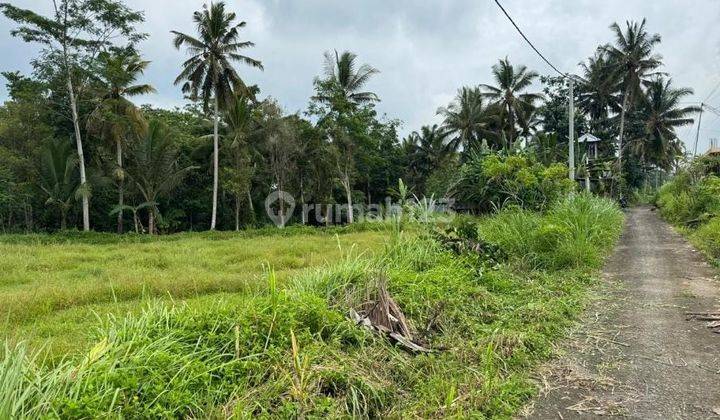 Pasti Closing Di Jual Tanah Lokasi Pejeng Kangin Ubud Gianyar 2