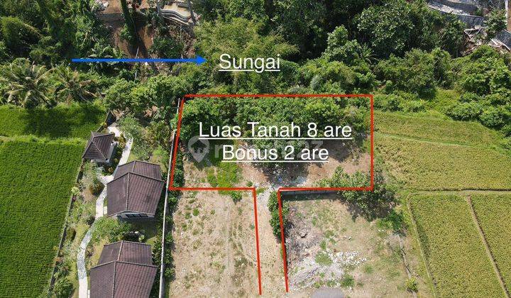 SURE DEAL ON LAND FOR SALE FULL LOCATION UBUD GIANYAR  1