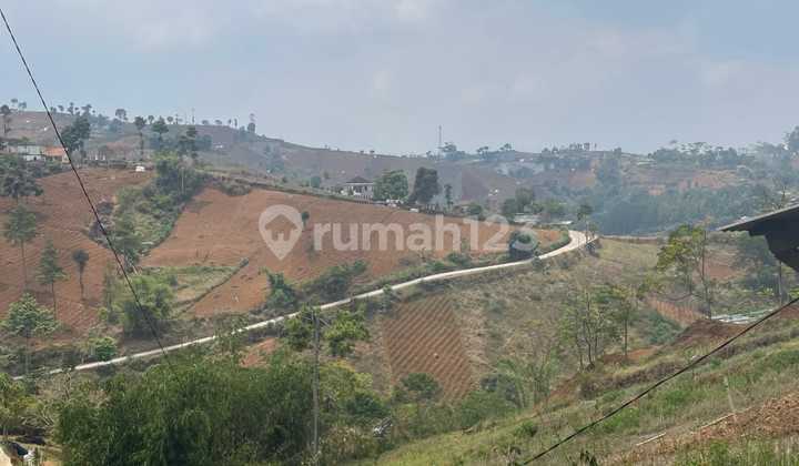Land for Sale in Dago Pakar, Bandung Land for Sale in Dago Pakar, Bandung