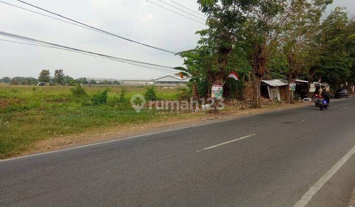 Dijual Tanah Strategis  32495m2 SHM di Mainroad Jl. Proklamasi Tunggakjati Karawang Barat 1