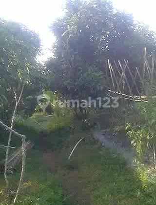 Di jual Murah Tanah Kebun & Sawah Murah di Ciater Jawa Barat 11260 m2