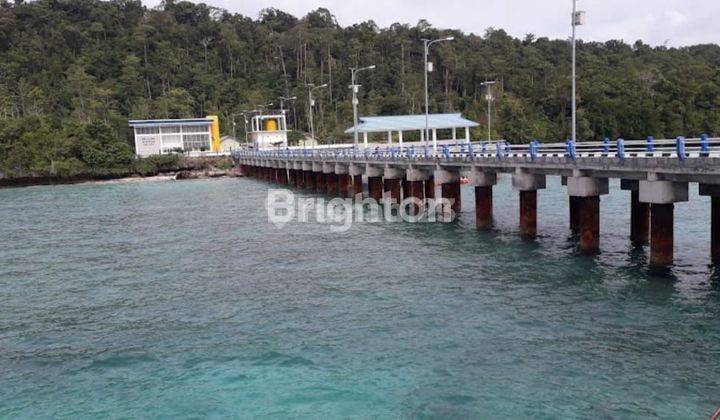 LAHAN PINGGIR PANTAI MARATUA SAMPING DERMAGA 2