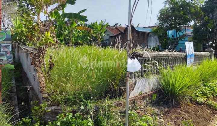 Tanah SHM Lokasi Strategis di Sampang, Cilacap 2