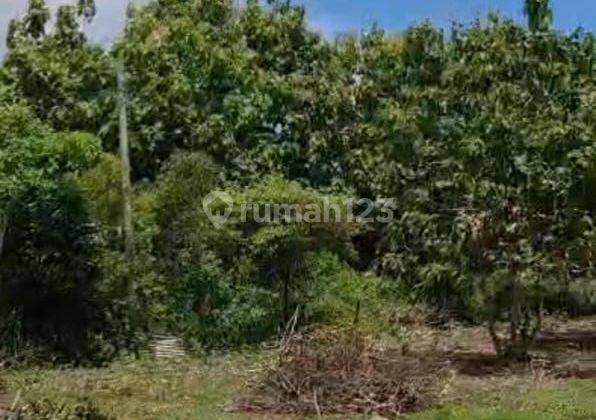 Land for sale in Kutuh location 1