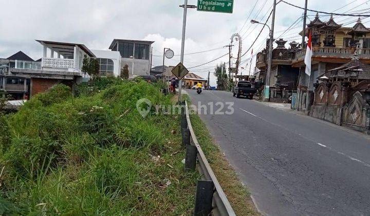 Tanah Jual Lokasi Kintamani 2