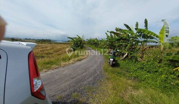 Land for sale in Kelating location 2