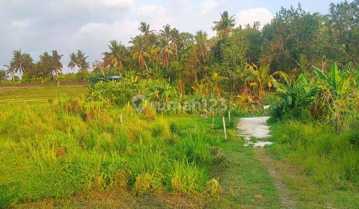 Tanah Jual Lokasi Pantai Nyanyi 1