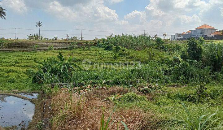 Tanah Jual Lokasi Pantai Nyanyi 1