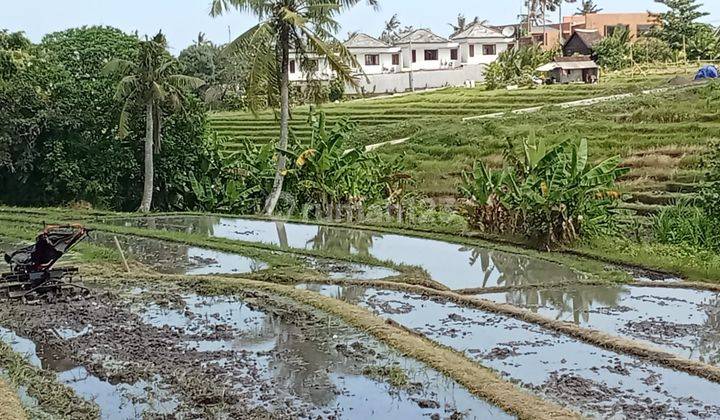 Tanah Jual Lokasi Pantai Nyanyi 2