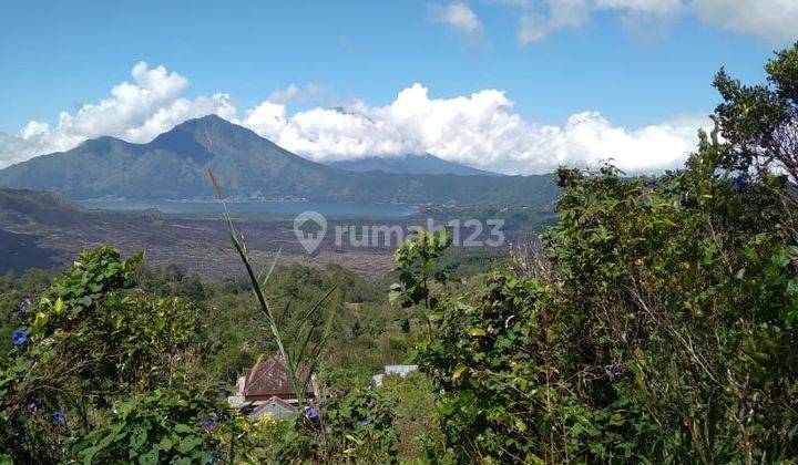 Land for sale in Kintamani location 2