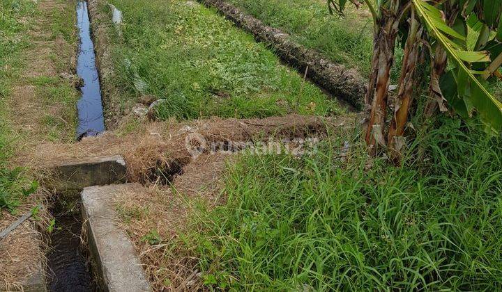 Land for sale in Tibubiu location 1