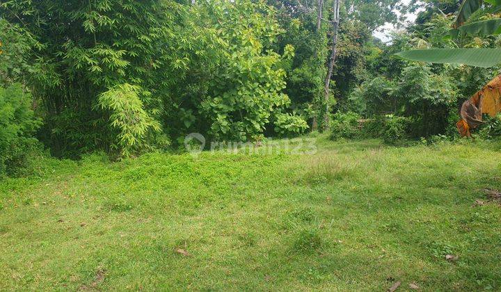 Land for sale in Klecung location 2