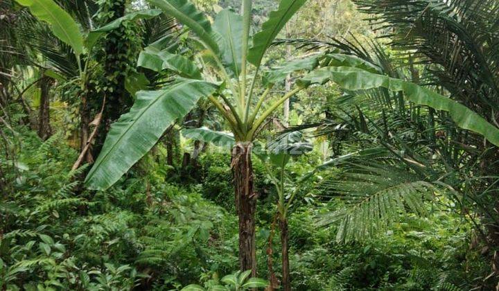 Tanah Jual Lokasi Kenderan 1