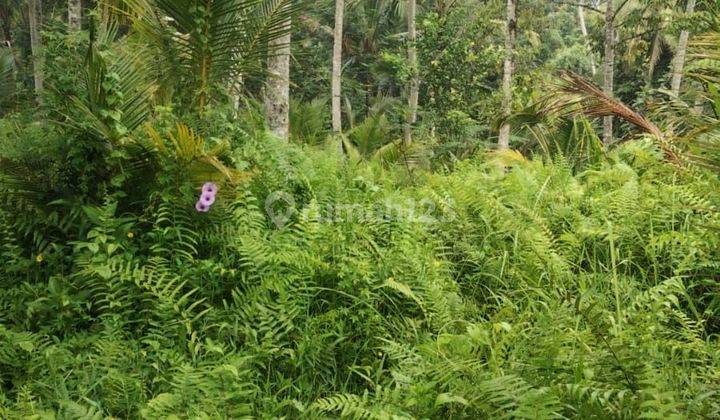 Land for sale in Kenderan location 2