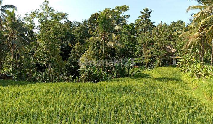 Land for sale in Kenderan location 2