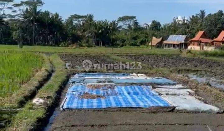 Land for sale Ubud location 2