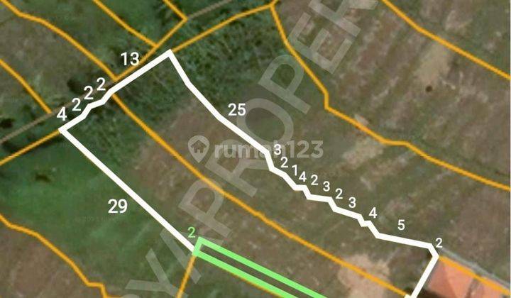 Land for sale in Munggu location 1