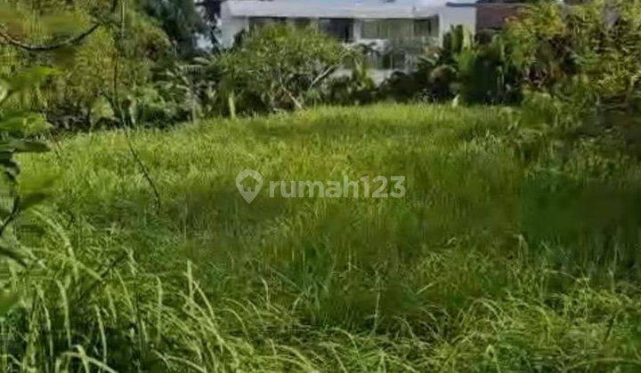 Land for sale in Canggu location 2