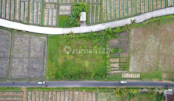 Land for sale in Kelating location 2