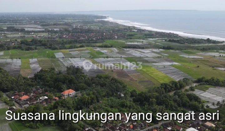 Tanah Jual Lokasi Kelating 2