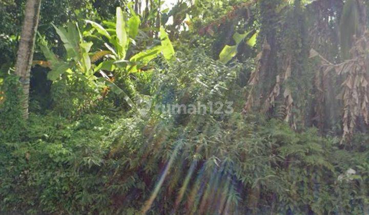 Land for sale in Tegallalang location 1