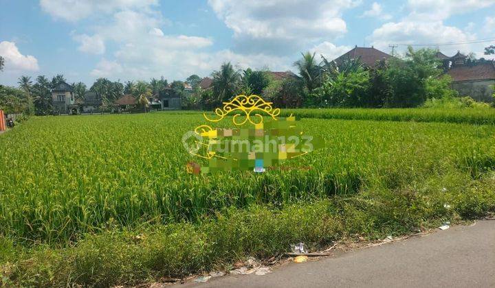 Tanah Jual Lokasi Peliatan 2