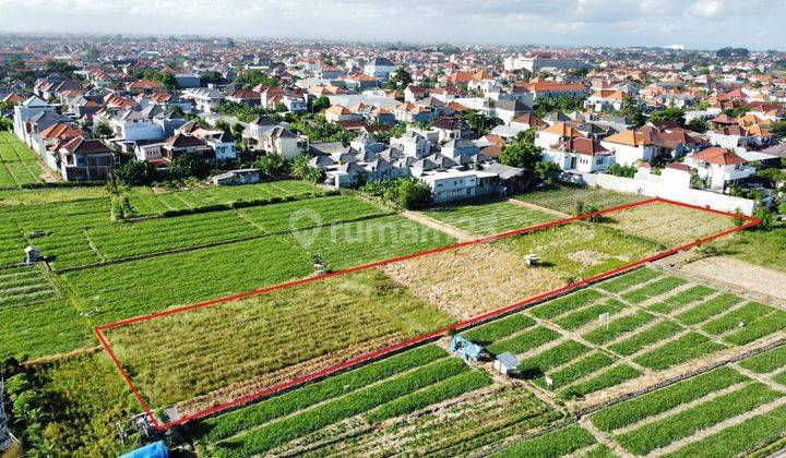 Tanah Jual Lokasi Tukad Badung 2